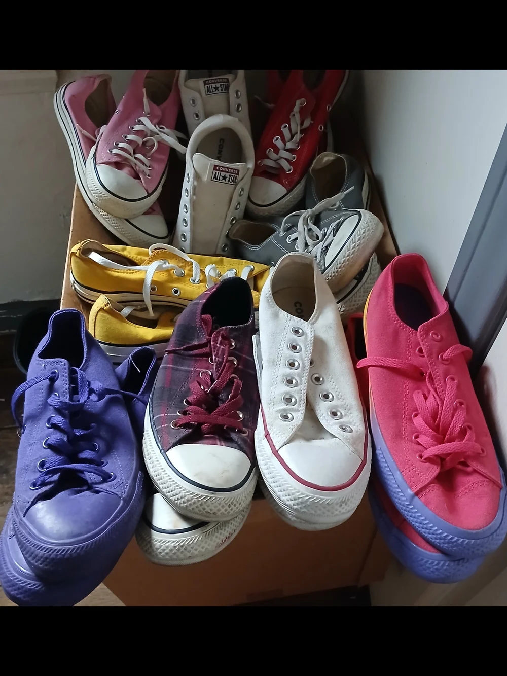 Converse Kids Multi-Color Canvas Low Top Sneakers